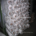 greenhouse used recycled plastic support mesh with UV made in China